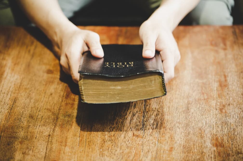 Read more about this verse