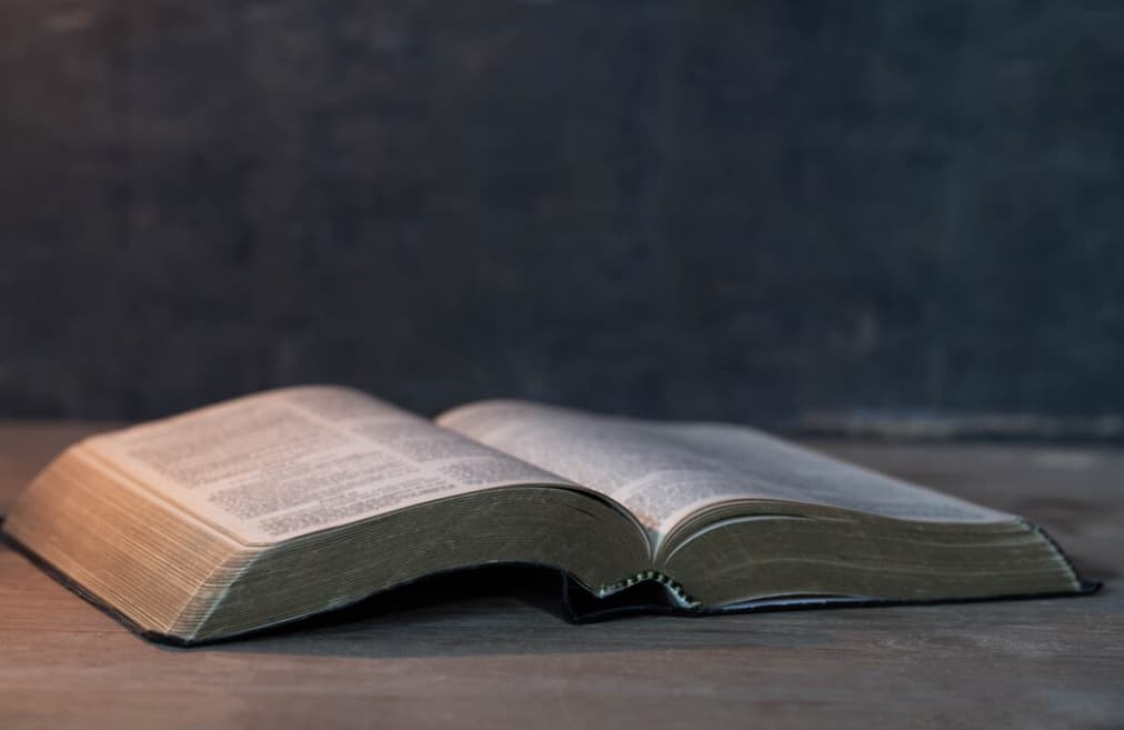 Reflexiones: Providencia Divina – Viaje Vida Rey David
